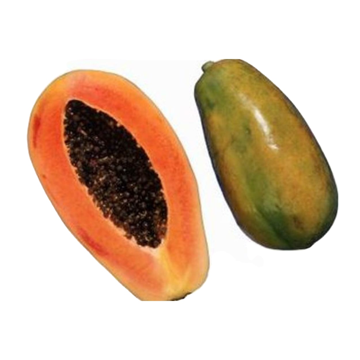 Pawpaw с глубокой оранжевой вспышкой