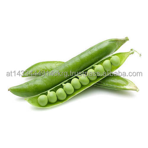 Hot Sale Green Peas