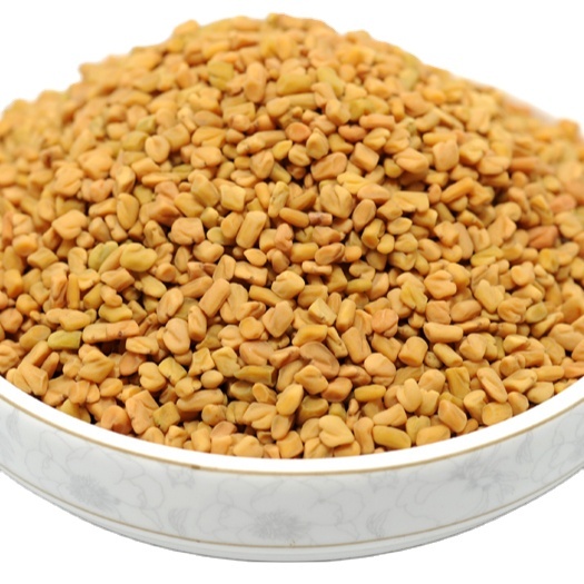 Wholesales 2022 New crop high quality good Food spices fenugreek good seasonings methi From India