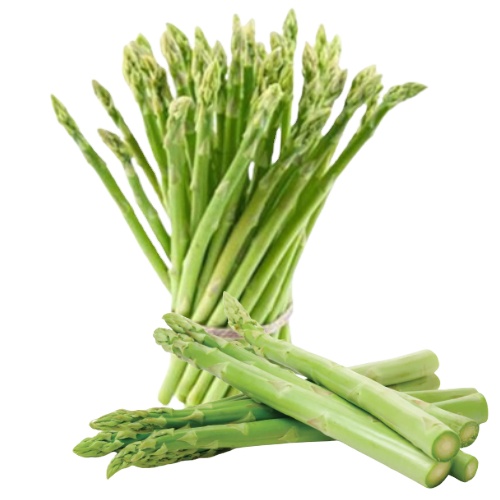 [KIM] HOT SALE! FRESH ASPARAGUAS IS THE BEST PRICE FOR WHOLESALER IN MARKET HIGH QUALITY FOR EXPORT