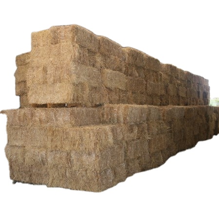 Wheat Straw Hay Animal Feed Premium Quality Pure Protein Bale Wholesale Bulk Quantity Retail Best Price