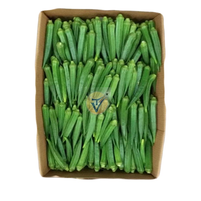 Свежий Okra-свежий индийский Дамский палец-зеленый Дамский палец-свежий поставщик Okra