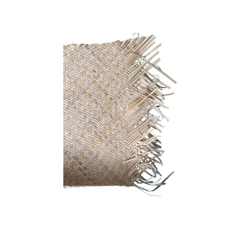 hot sale plastic PE rattan mesh webbing cane webbing rattan wholesale- Rachel Storage