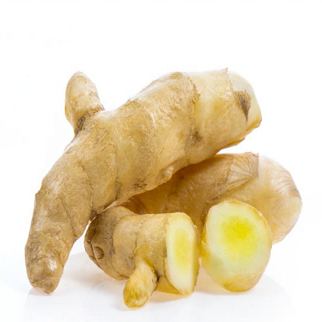 Best Product Spice Fresh Ginger Origin Indonesia Export Standard