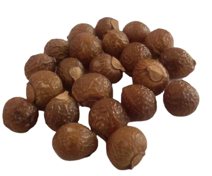 Ракушки из мыльных орехов, ракушки из мыльных орехов, ракушки из мыльных ягод. Ягоды мыла, оптовая продажа