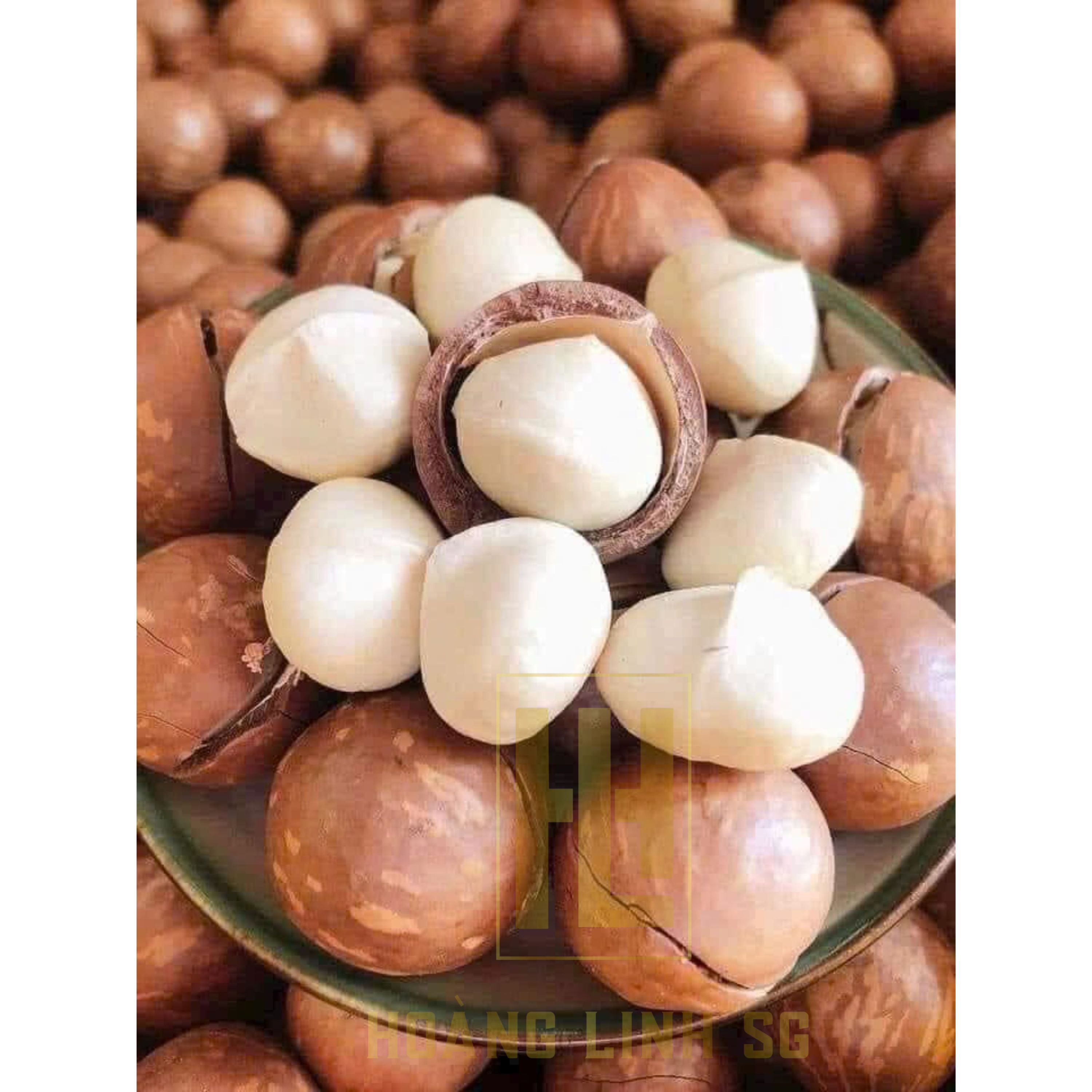 Macadamia nuts grown in Vietnam, extremely competitive price with super good quality Made From HOANG LINH SG Kimy +84938616690