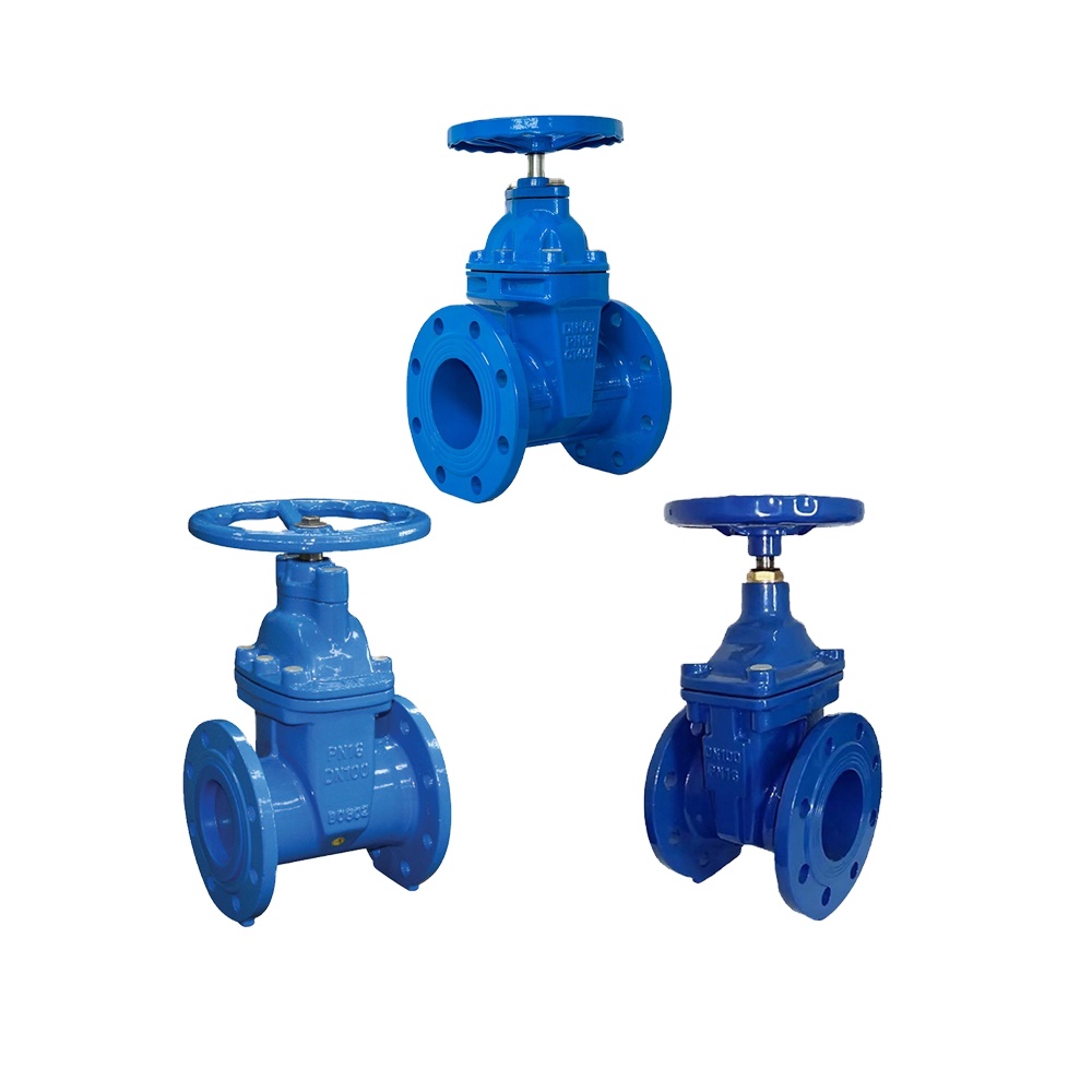 Goldensea API 600 API 602 Rising Stem Gate Valve