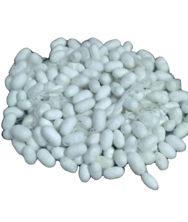 Natural Cut Mulberry Silk cocoon for anti-aging and keeping skin supple and nourished, removing blemishes and dead cells