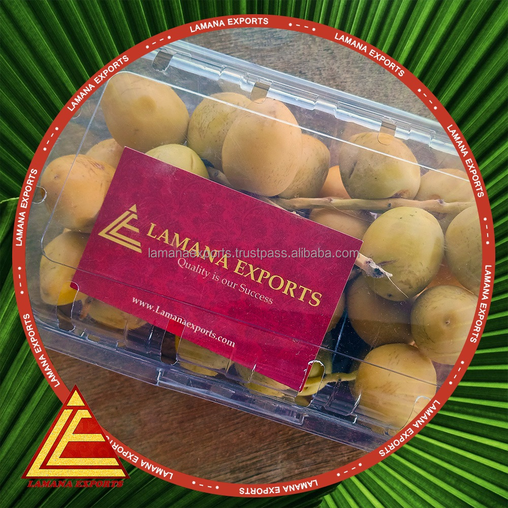 Premium Quality Exotic Barhe Dates / Yellow Palm Dates / Date Fruit