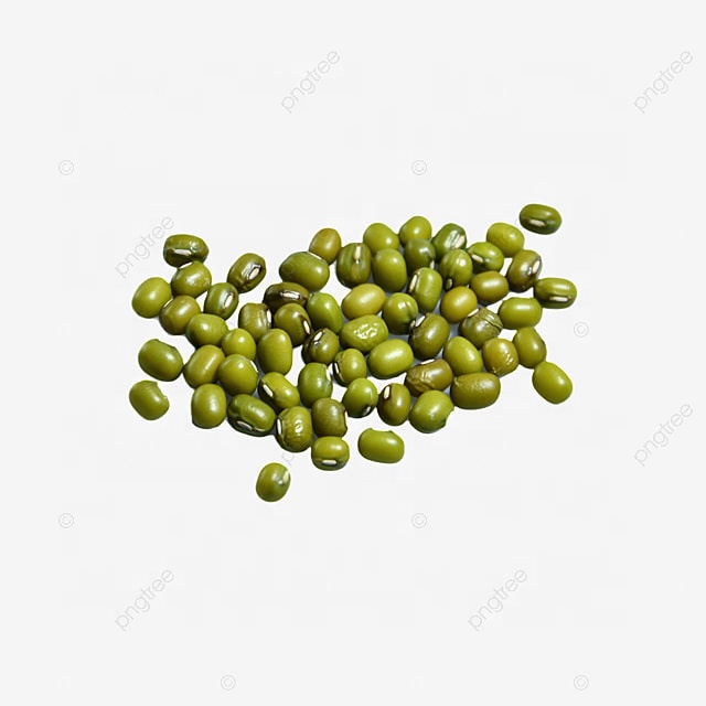 100% Organic Green Mung Bean Wholesale Made in Vietnam High Quality Low Price Premium Protein Green Mung Bean
