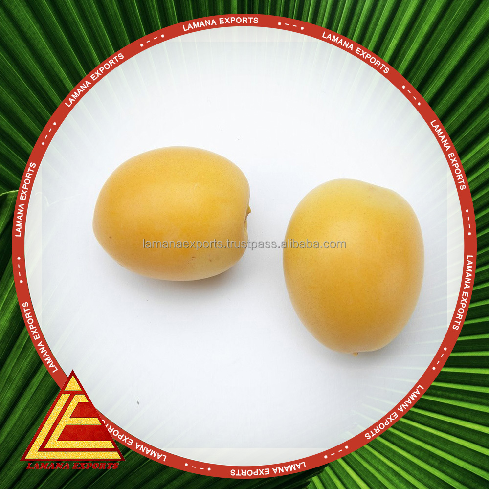 Barhee Dates / Palm Dates / Date Fruit 100 % fresh and Natural with best prices and discount