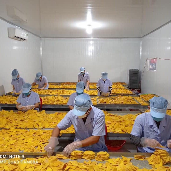 Dried Mango Fruit / Soft Dried Mango / Dried Fruits Cheap Price From Vietnam Whatsapp 0084 989 322 607