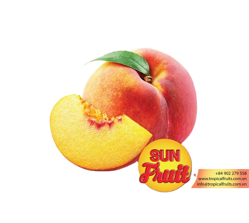 wholesale fresh peach