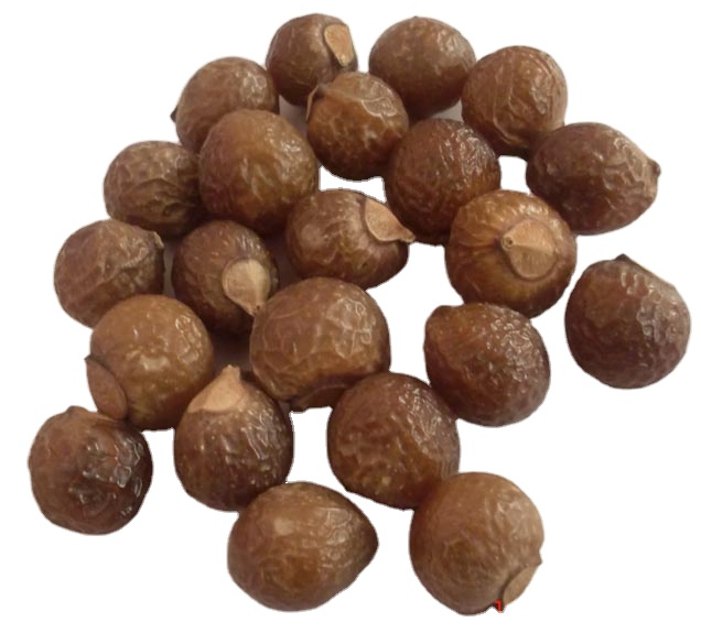 Мыльные орехи, Мыльные орехи, ягоды мыла, васкус, макияж
