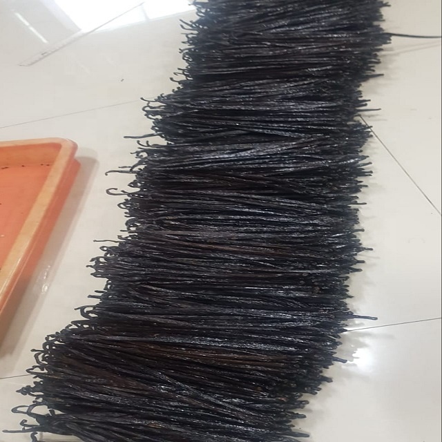 Best Product Spice Vanilla Gourmet 17cm up Origin Indonesia Export Standard