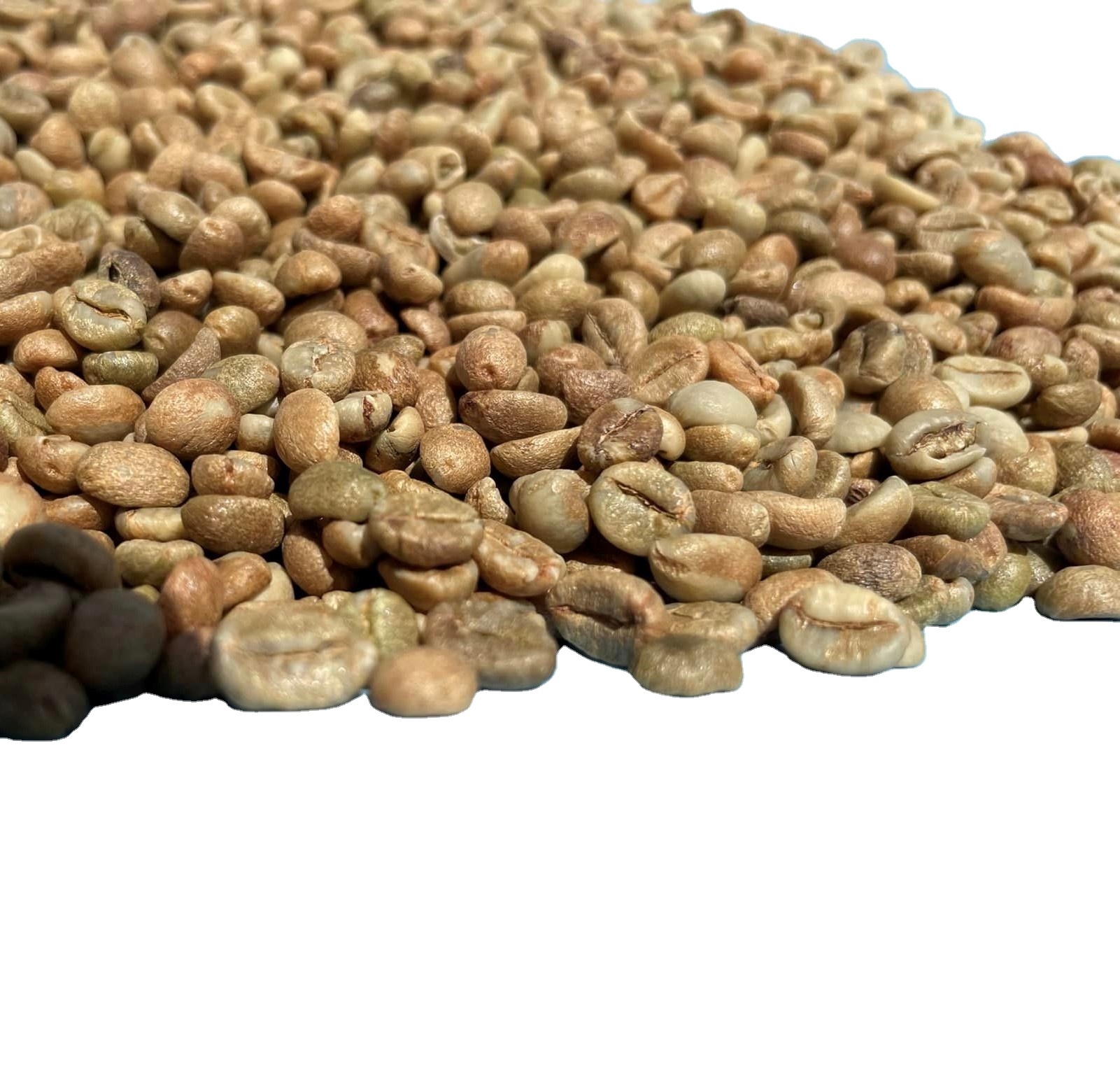 Robusta Coffee Bean Grade 1 from Viet Nam. Whatsapp +84 976727907 Ms Carolina