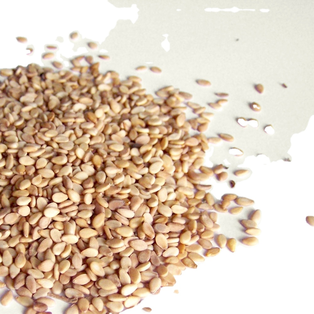 Best Price Pure Natural Dried White Fresh Quality Agriculture Product for Sale Sesame seed Bulk Buy Natural Sesame seed