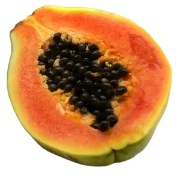 IQF свежие замороженные кусочки папайи кубики нового сезона здоровые фрукты