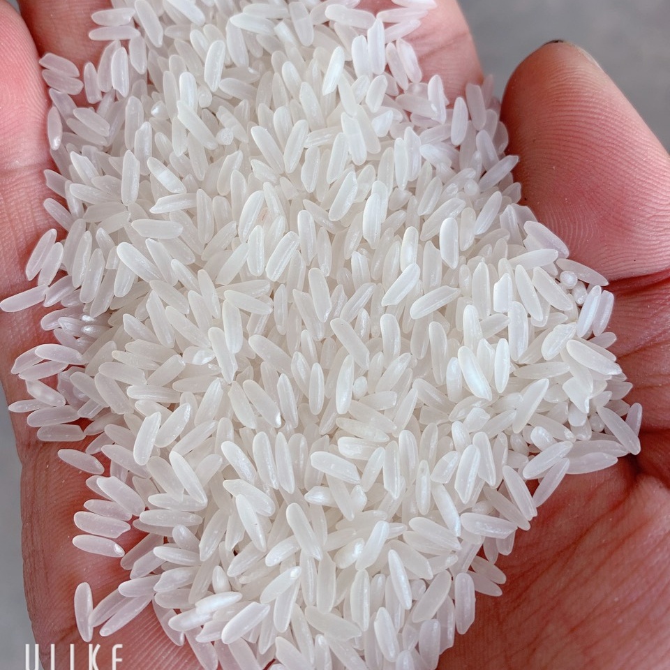 Jasmine fragrant rice (VN+84) 983590908watsap