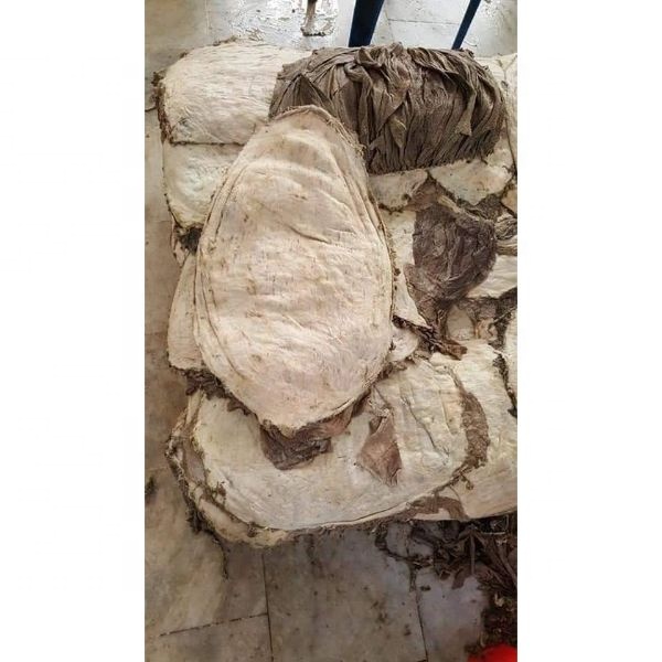 Stomach part Beef Omasum Ready Stock Available