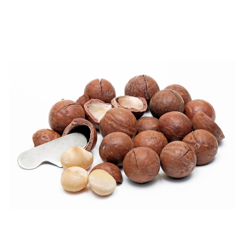 Top 1 Macadamia supplier in Vietnam, New Season, Delicious - Cracked Dried Macadamia Nuts - Good quality from Vietnam