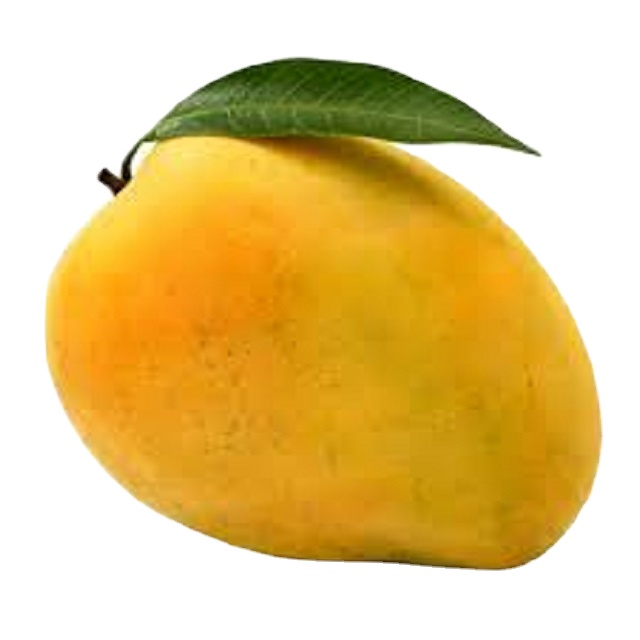 BEST PRODUCTS FOR YOU!!! FRESH YELLOW MANGOES ORIGINAL FROM VIETNAM WITH COMPETITIVE PRICE AND HIGH QUALITY EXPORT IN 2022