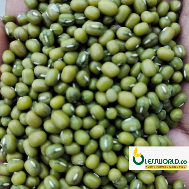 Green Mung Beans ( Vigna Beans )