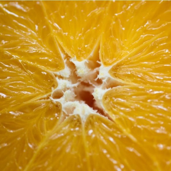 Citrus Pulp with 100% Purity Available