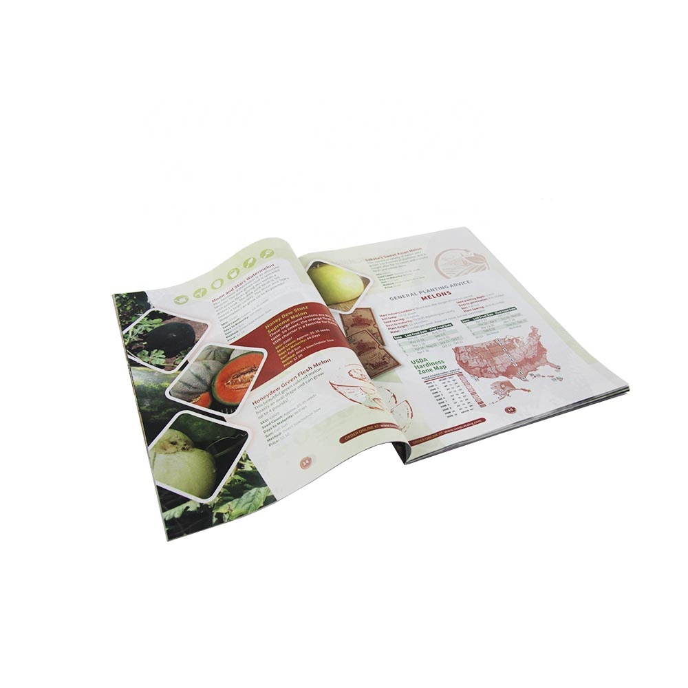 Wholesale High Quality Promotion Clothing Catalog Magazine