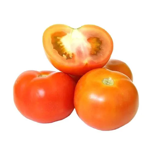 Fresh tomatoes Fast Shipping high Quality high quality fresh tomato factory price Chinese fresh tomato