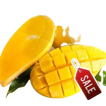 Hot Sale 2022 | Big Sale 15% For Fresh Mango High Quality Vietnam Fresh Fruit Green Mango Best Price