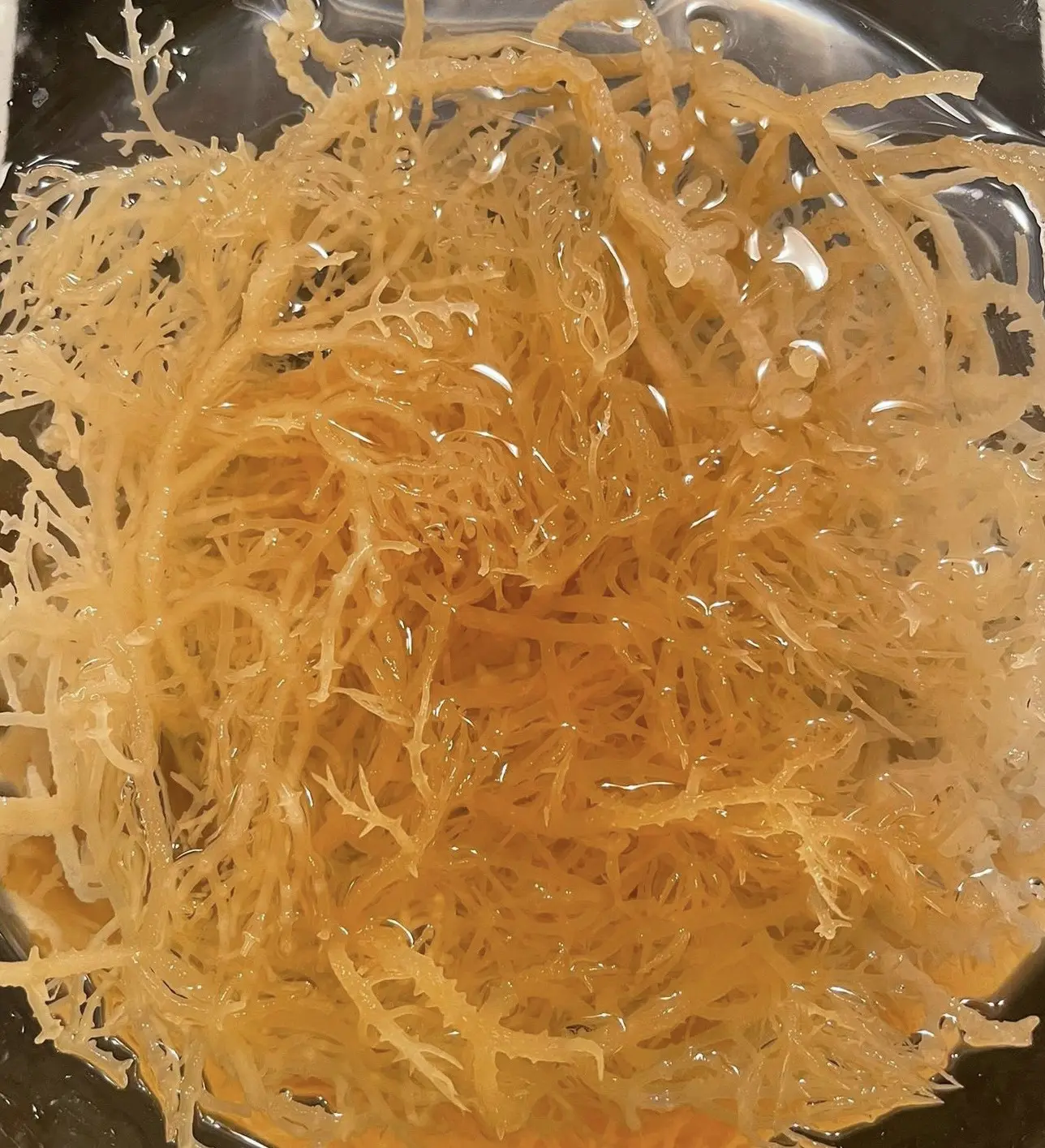 Sea Moss all Natural Ocean Raw Gold Irish Seamoss Organic Sundried Seaweed /Ms.Serena