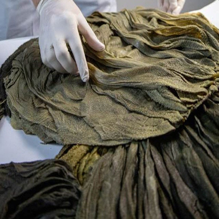 Халяльная питательная говядина Omasum, сушеная соленая говядина Omasum, замороженная говядина Omasum