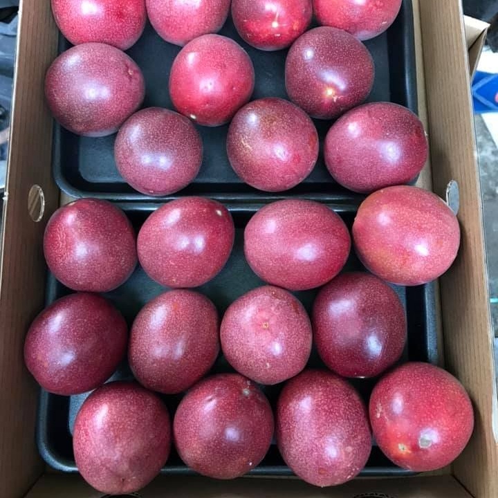fresh purple Passion Fruit from Vietnam big size and good pprice for export , contact +84901797088whats app