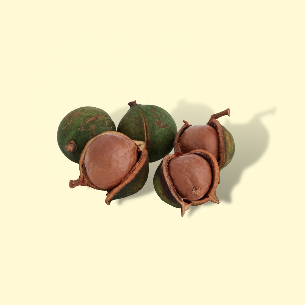 Vietnam black maca roasted maca ultimate nut & kernel snacks nuts boxes