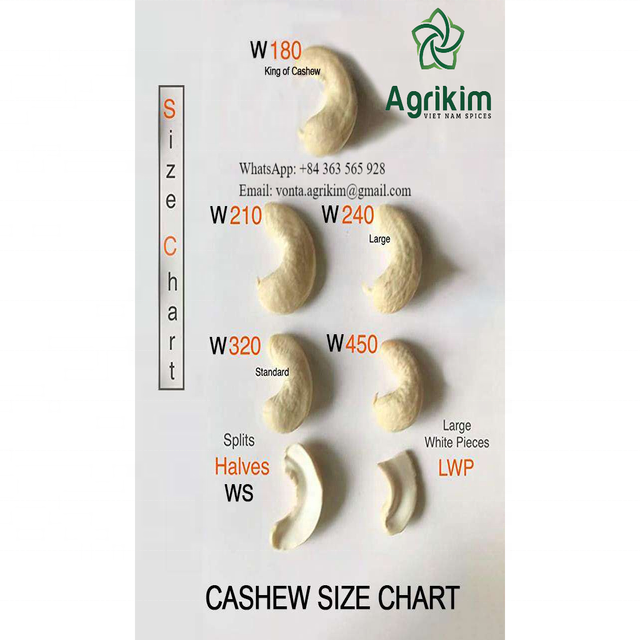 HIGH QUALITY CASHEW NUTS WHOLE WHITE WW 320/240 /210 /180 /450 BEST PRICE FROM VIETNAM