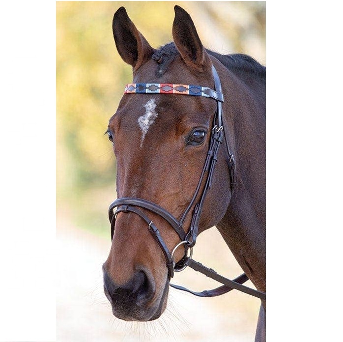 Excellent Quality Polo Bridle