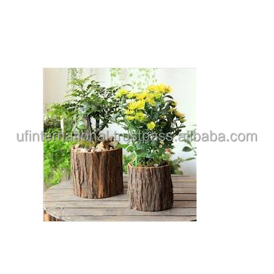 Wood and flower vase and customized size Solid Wood Hanging Flower Pot and living room use for sale