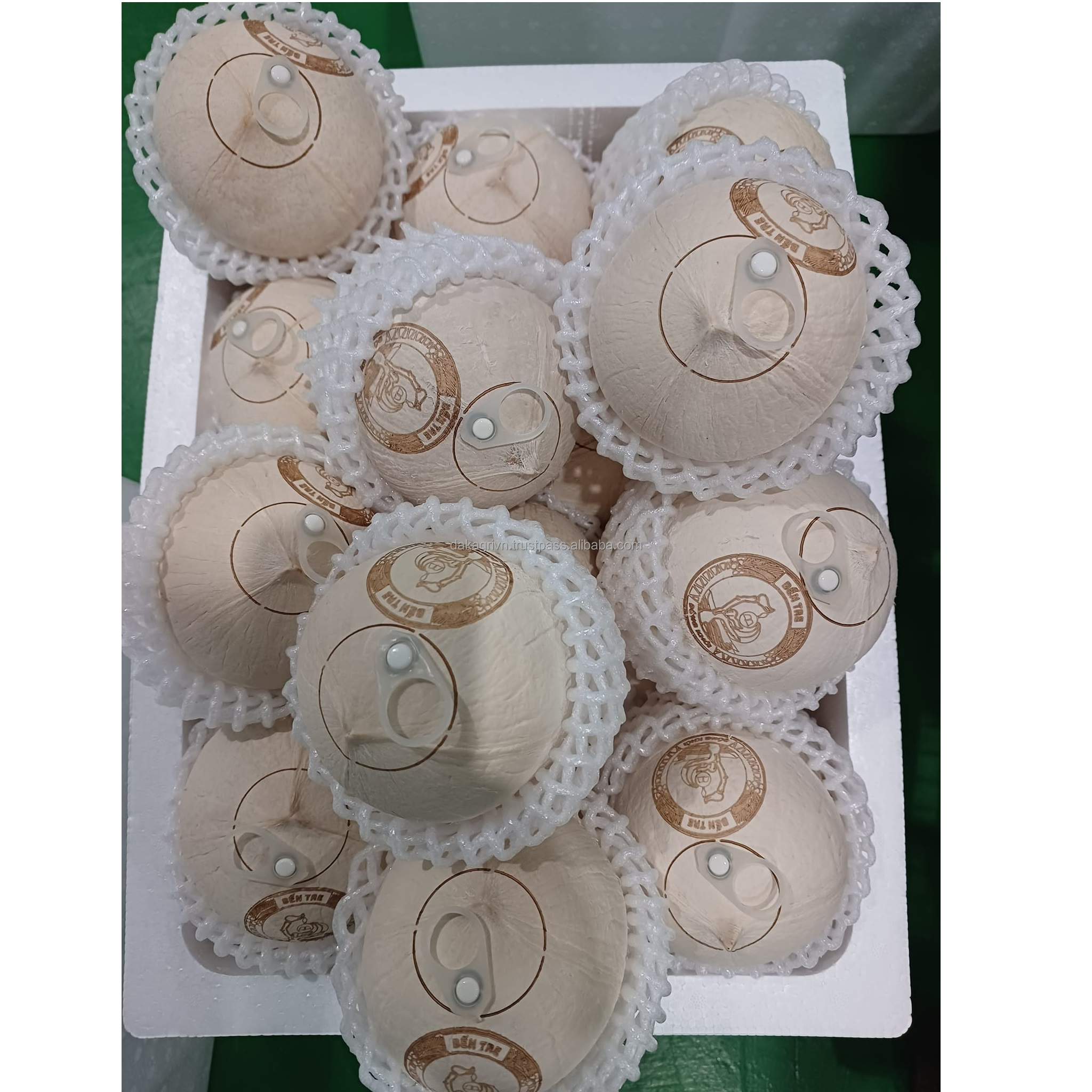 Sweet Young 100% Coconut Diamond Shape Agriculture Vietnam Fresh Young Coconut With Shelf Life 90 Days For Drinking