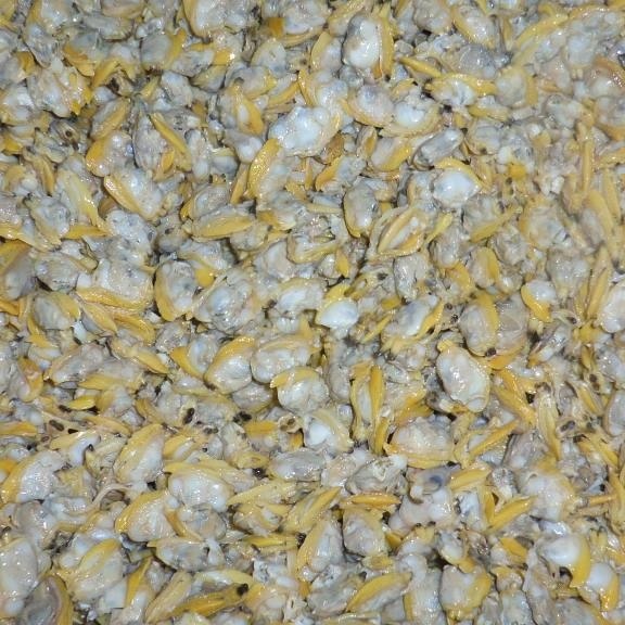 Замороженное желтое моллюсковое мясо индийский экспорт