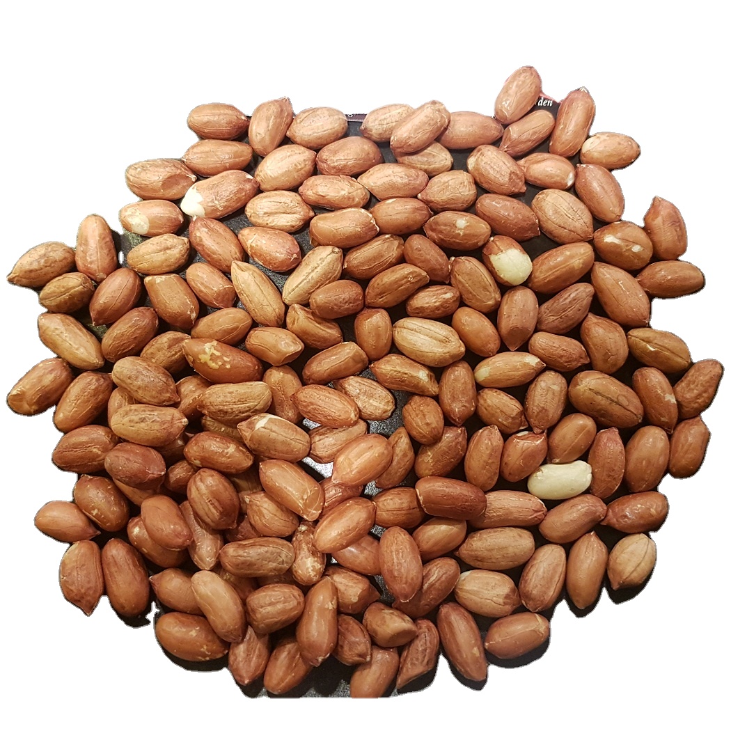 Indian HPS Bold 40/50 Peanut Kernels Bulk Supplier of Mixed Spices & Seasonings