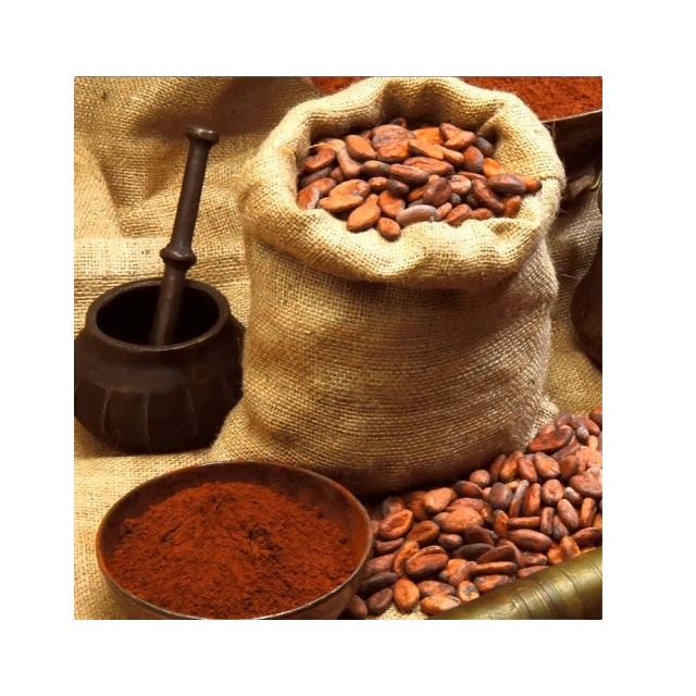 100% сушеные какао-бобы Criollo + сушеный ферментированный какао в продаже сейчас