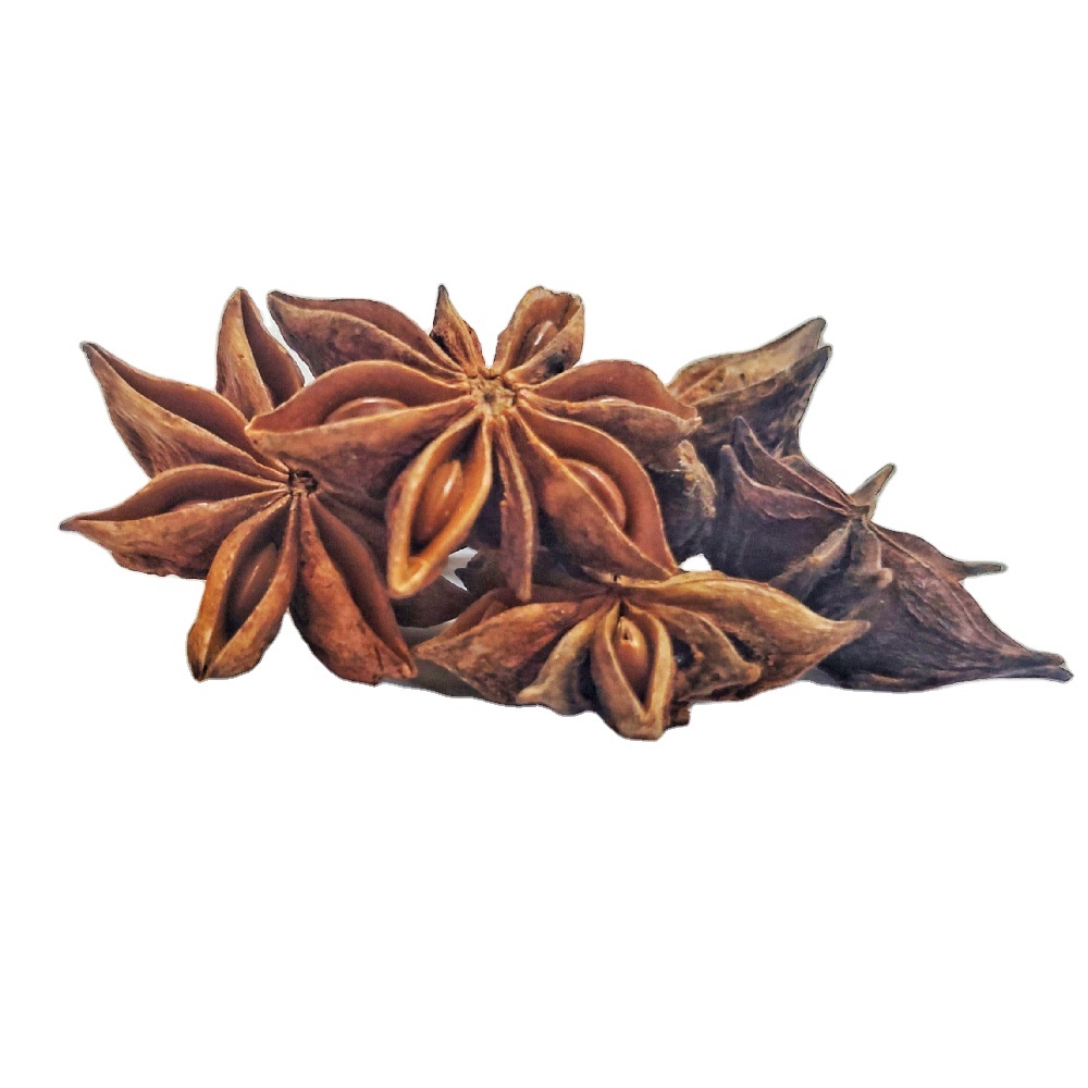 Excellent grade Vietnamese fall STAR ANISE both dried and raw is now available
