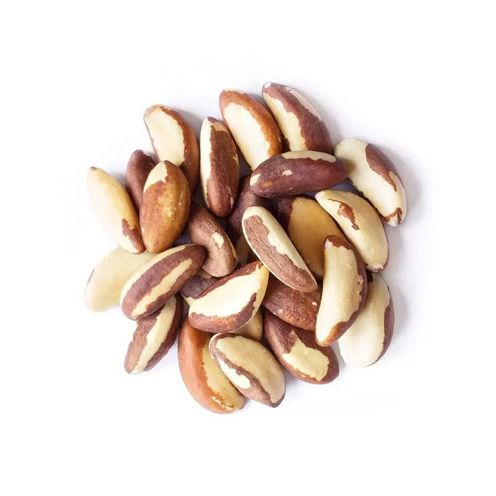 Quality Brazil Nuts / Brazilnuts / Organic Brazil Nuts Best Price