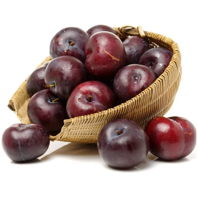 Top Quality Fresh Plum Fruit Fresh Cherry Plum Red Fresh Plum Fruit New Harvest Lowest Price