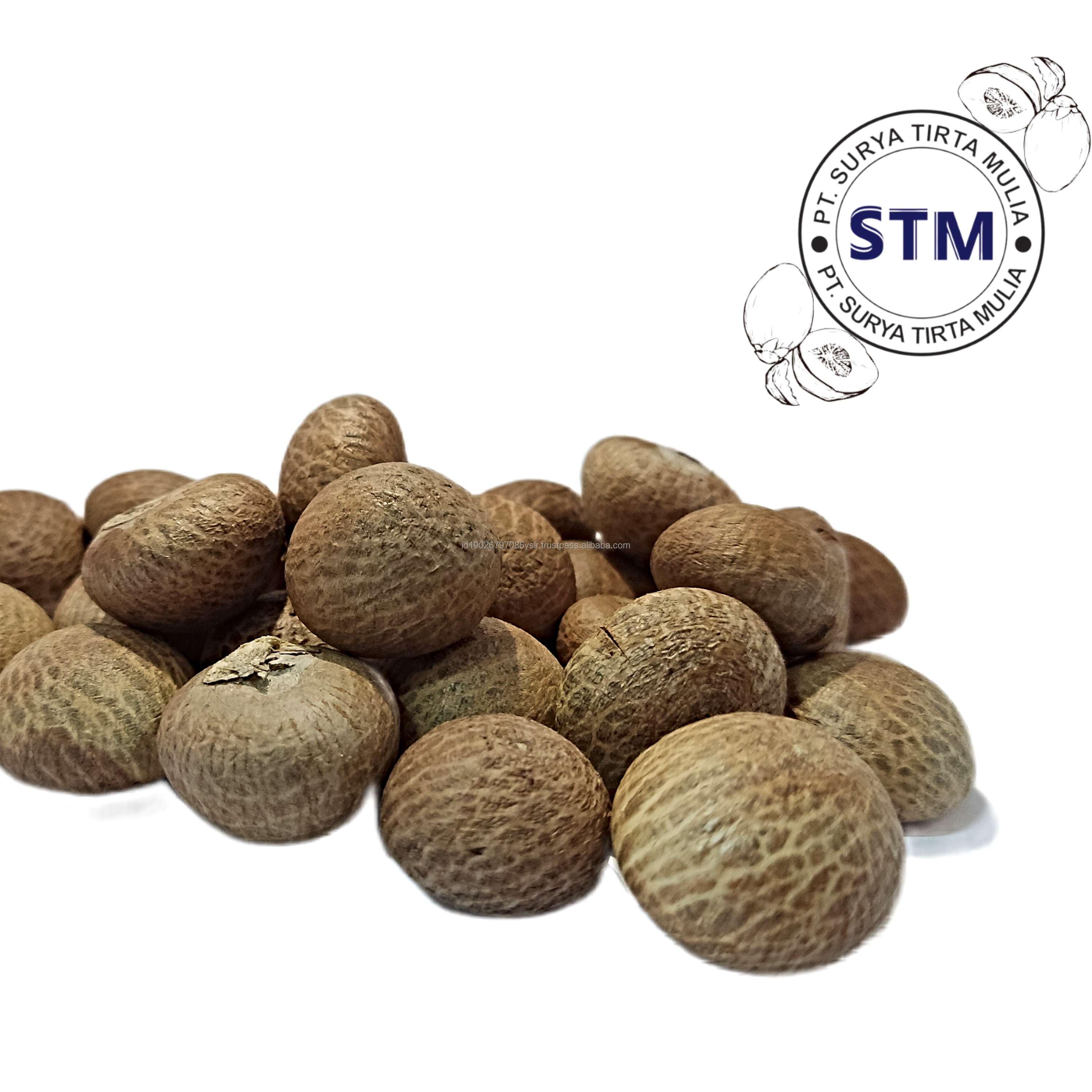 BETEL NUT
