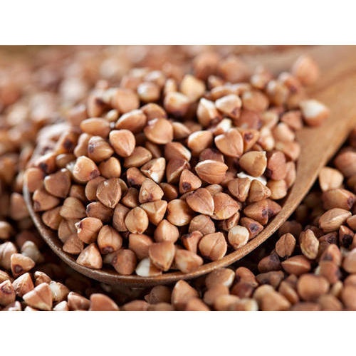 Supply High quality Buckwheat
