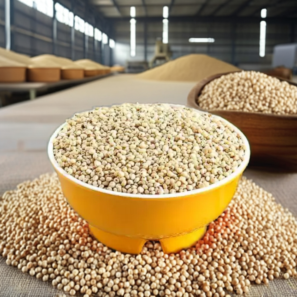 New Crop High Quality Indonesian Origin White Sorghum Seed Grain for Agriculture and Food Use
