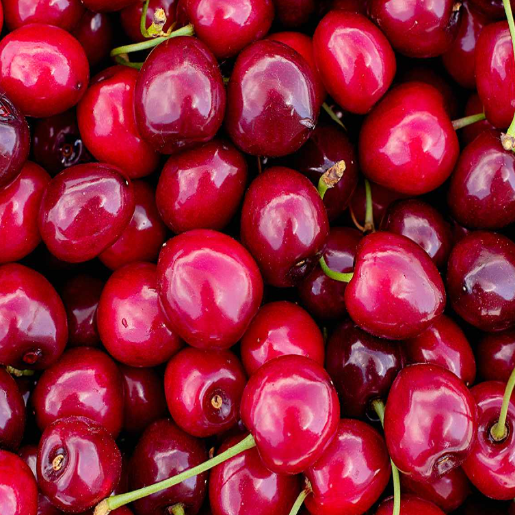 High Quality Natural Fresh Cherries Available for Sale/ Wholesale Fresh Fruits Cherry at Factory Price