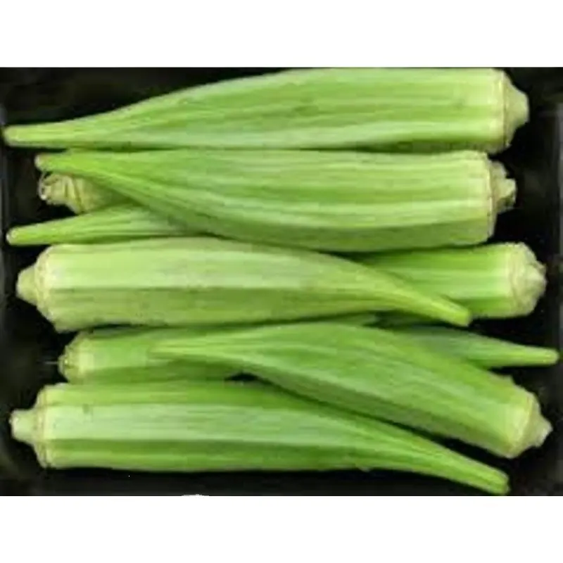 Okra Clemson Spineless (Op) Verity for for consumption Okra / Okro - MN GLOBAL IMPEX FROM INDIA